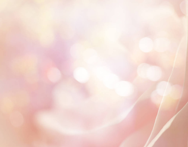 rosa Rosen in sanfter Farbe und unscharfem Stil für den Hintergrund - Foto, Bild