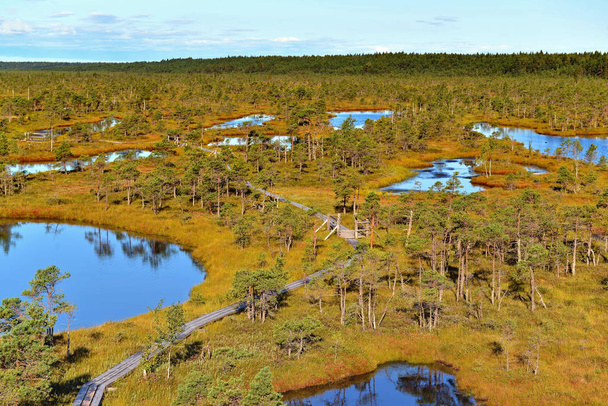 Пейзаж Европейского лесного парка с множеством озер и карликовой сосны
 - Фото, изображение
