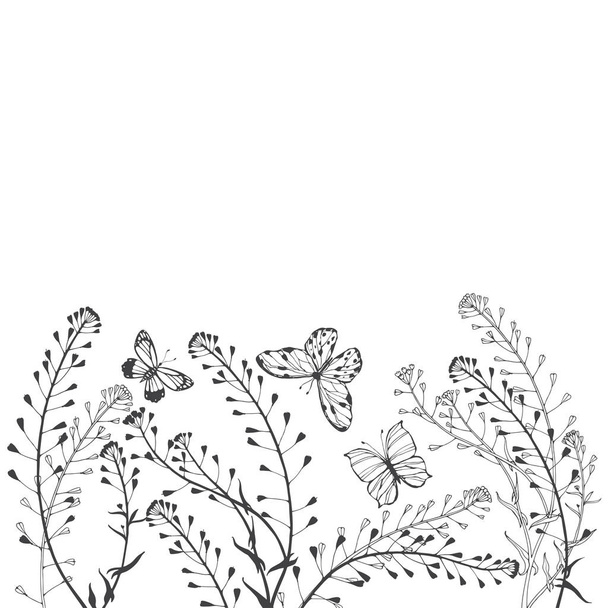 Fondo floral con monederos de pastores y mariposas aisladas sobre fondo blanco
 - Vector, imagen