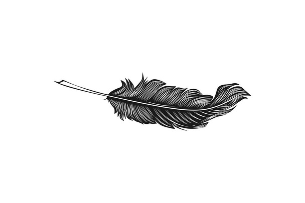 Hand drawn classic feather logo design inspiration Isolated On white Backgrounds - Vector, Image