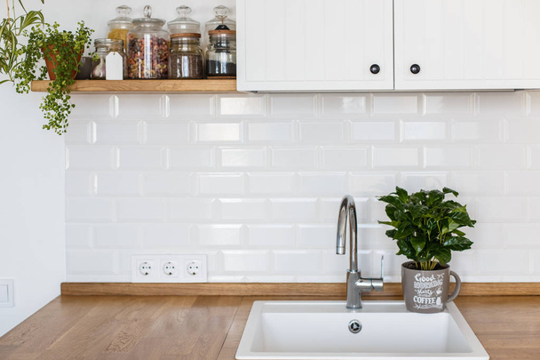 View on white kitchen in scandinavian style, kitchen details, coffee tree plant on wooden table, white ceramic brick wall background - Photo, Image