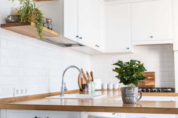 View on white kitchen in scandinavian style, kitchen details, coffee tree plant on wooden table, white ceramic brick wall background - Photo, image