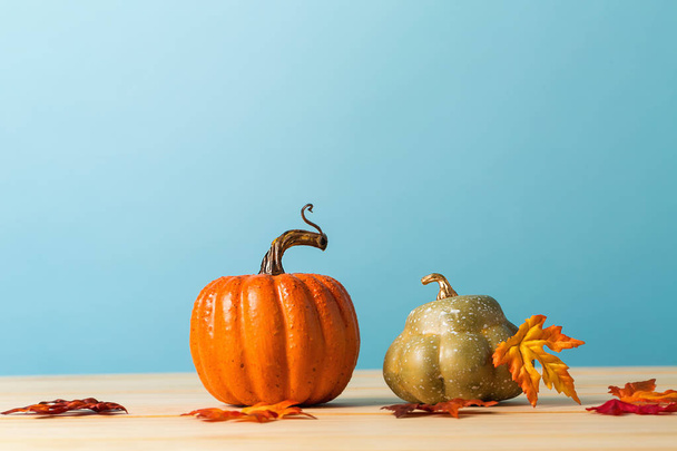 Collection of autumn pumpkins - Fotografie, Obrázek