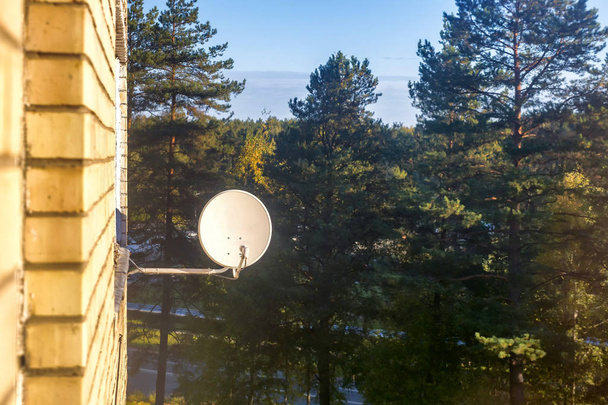 Antenne antenne satellite sur mur de briques au-dessus des bois de pin
 - Photo, image