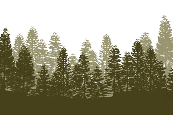 Sílhueta da floresta do pinheiro isolada no Backgroun branco
 - Foto, Imagem