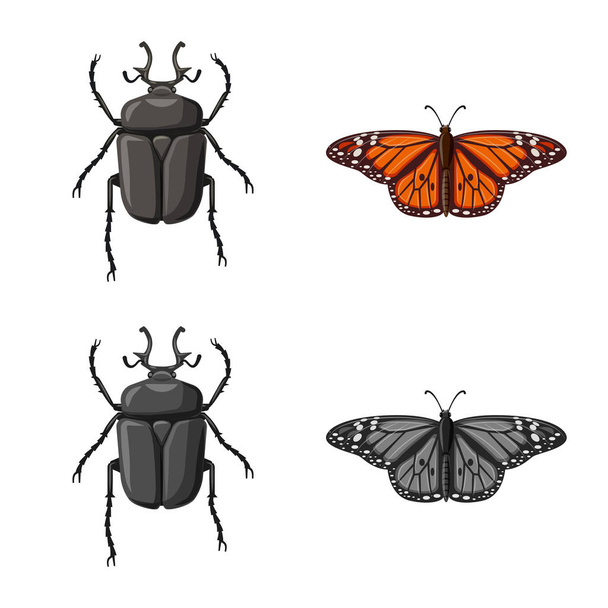 Vectorillustratie van insecten en vliegen pictogram. Collectie van insect en element voorraad vectorillustratie. - Vector, afbeelding
