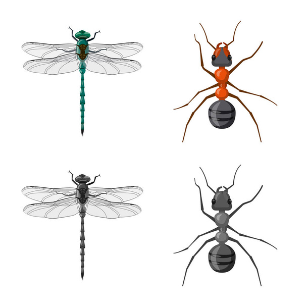 Vektordesign von Insekten- und Fliegensymbol. Set von Insekten- und Elementvektorsymbolen für Aktien. - Vektor, Bild