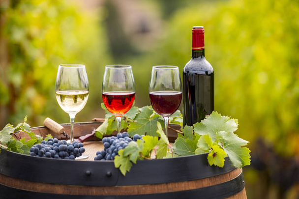 Наливание красного вина в бокал, бочка на открытом воздухе в Бордо Виньярд, Франция
 - Фото, изображение