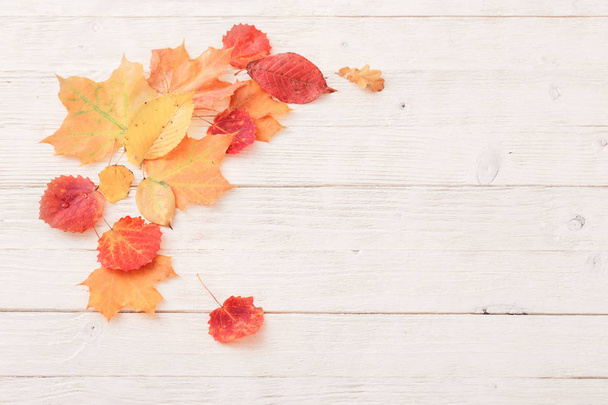 the autumn leaves on white wooden background - Foto, Imagen