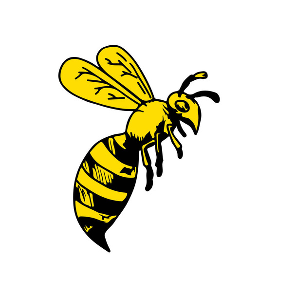 Tekening schets stijl illustratie van een yellowjacket wasp of de "USS Hornet" flying zijaanzicht op witte achtergrond. - Vector, afbeelding