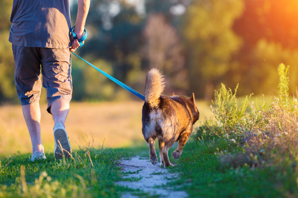 A man with a dog on a leash is walking along the rural road in summer - Фото, зображення