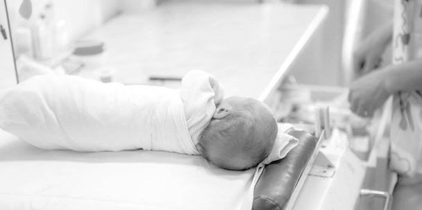 Novorozenec v nemocnici. - Fotografie, Obrázek