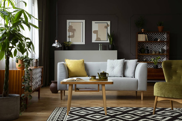 Real photo of a vintage living room interior with a coffee table, sofa, plant and paintings - Photo, image