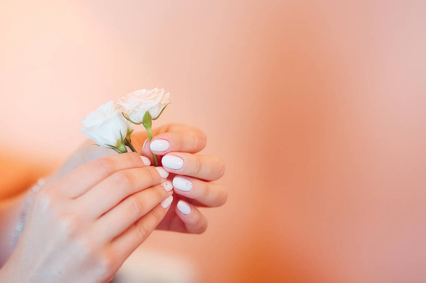 Delicate small roses in hands with a beautiful manicure on a pink background. Soft focus, background image - Foto, Imagen