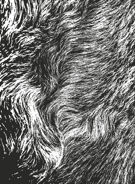 Distressed overlay texture of natural fur, grunge vector background. abstract halftone vector illustration - Vector, Image