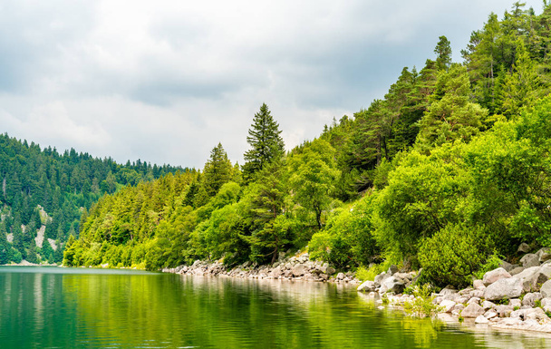 Panorama of Lac Blank, a lake in the Vosges Mountains - Photo, Image