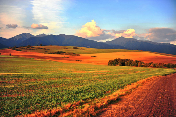 Krásná země cesta v Tatrách na západ slunce, Slovensko.  - Fotografie, Obrázek
