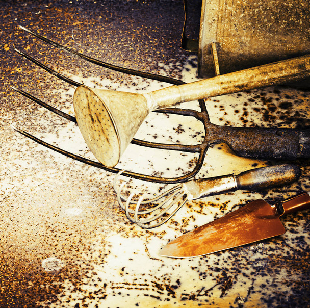 vista de primer plano de las viejas herramientas de jardín en el suelo
 - Foto, imagen