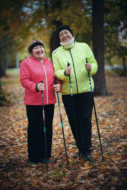 Deux femmes âgées se tiennent dans un parc avec des bâtons pour la marche nordique
 - Photo, image