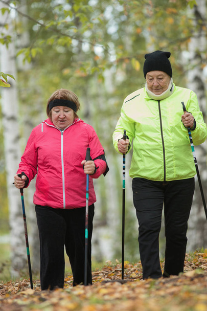 Dos mujeres ancianas vestidas de chaqueta están involucradas en la caminata escandinava en el parque fuera de la carretera. Buen tiro. Caída
 - Foto, Imagen