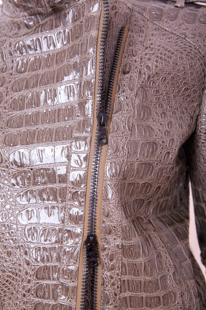 Modne kurtki ze skóry krokodyla  - Zdjęcie, obraz