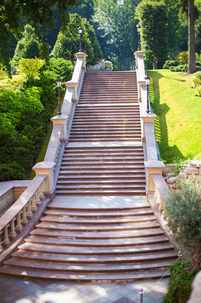 Mooie directe hoge trap in een luxe landgoed. Op de zijkanten van de trap zijn een groen gazon en een bloeiende tuin. - Foto, afbeelding