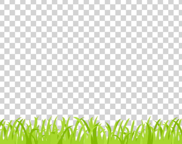 groen gras op een transparante ondergrond - Vector, afbeelding