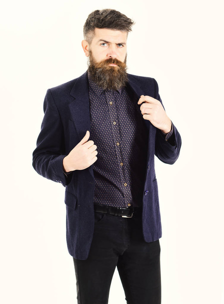 Insurance, success, luxury lifestyle, business, presentation concept. Insurance agent wears fashionable suit and looks confident. Mature man with long beard and serious face. Boss in smart clothes - Valokuva, kuva