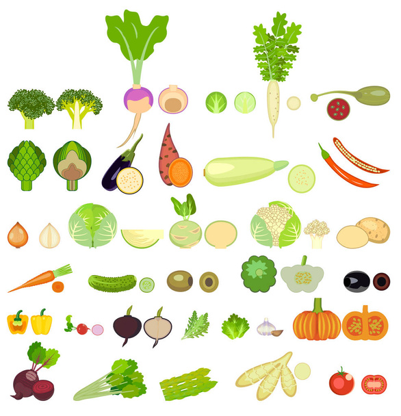 set van groenten. tweeëndertig soorten groenten zijn geheel en in een verlaging. Vierkant van gekleurde groenten. Vers voedsel. Pompoen, kool, Blockley, koolrabi, bloemkool, bieten, asperges, Brussel, maïs - Vector, afbeelding