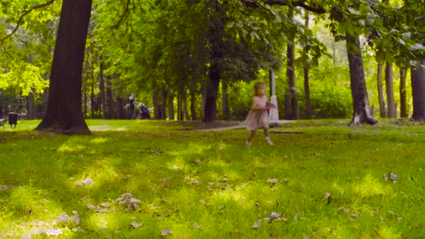 A little girl playing in a park with flying disc - Záběry, video