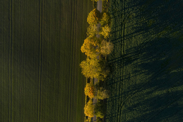 vista aérea da paisagem da natureza na estação de outono
 - Foto, Imagem