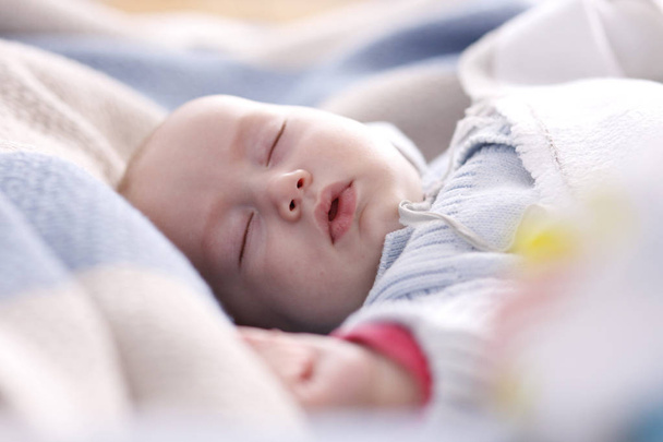 Αξιολάτρευτο μωρό στον ύπνο μεταξύ φύλλων. - Φωτογραφία, εικόνα