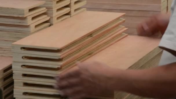 Ellenőrzés de calidad, empresa de maderas. Trabajador revisando piezas de madera - Felvétel, videó