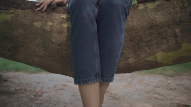 Young girl sits on a thick branch of a tree - Filmagem, Vídeo