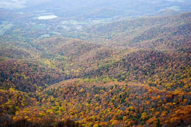 Luchtfoto van de Shenandoah vallei bergen bedekt met bossen in felle kleuren van de herfst - Foto, afbeelding