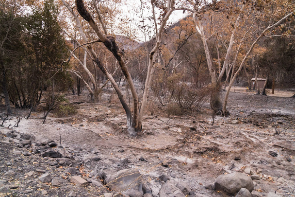 Camping et route endommagés par le feu Thomas le long de la route 33 à Ojai, Californie
 - Photo, image