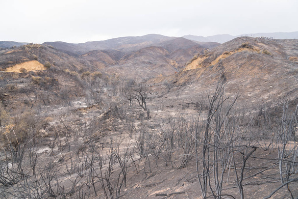 Landscape damaged by the Thomas Fire along Highway 33 in Ojai, California - Photo, Image