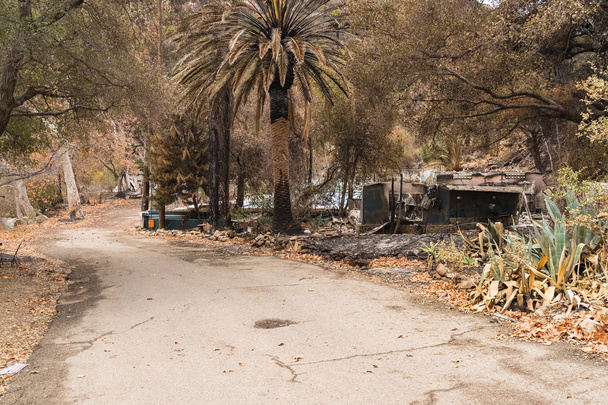 Bâtiments et propriétés à Matilija Hot Springs endommagés par l'incendie de Thomas le long de la route 33 à Ojai, Californie
 - Photo, image