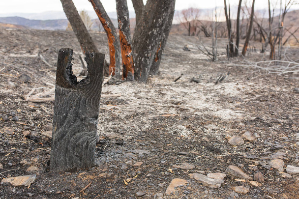 Camping Rose Valley endommagé par le feu Thomas le long de la route 33 à Ojai, Californie
 - Photo, image