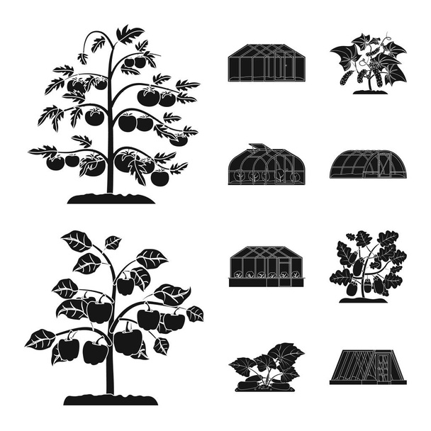 温室および植物の記号の孤立したオブジェクト。温室および庭の株式ベクトル図のセット. - ベクター画像