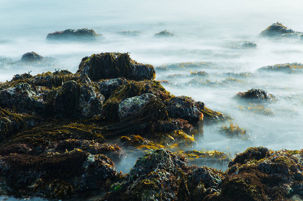 Long exposure photo of the waves and rocks of the tidepools along the California coastline - Foto, afbeelding