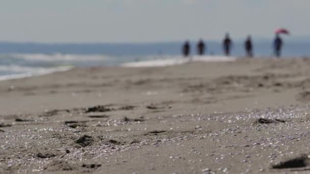 Persone che riposano sulla spiaggia, Sicialy - Italia
. - Filmati, video