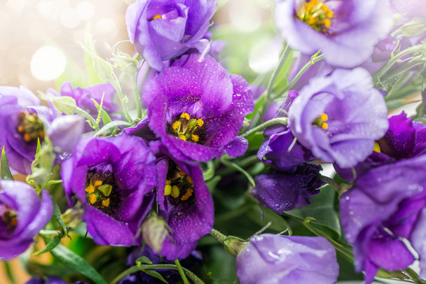Hermoso ramo de flores de Eustoma púrpura, Lisianthus, fondo claro
 - Foto, Imagen