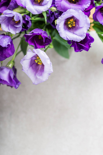 Hermoso ramo de flores de Eustoma púrpura, Lisianthus, fondo claro
 - Foto, imagen
