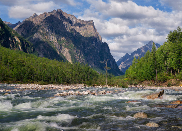 River Middle Sakukan in Kodar Mountains in Siberia, Transbaikalia - Фото, изображение