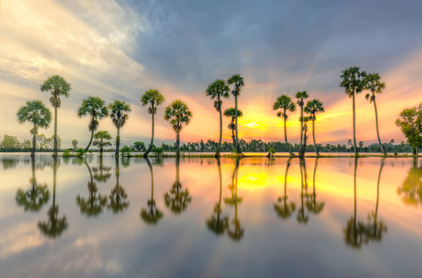 Lever de soleil coloré avec de grands palmiers se levant dans le ciel spectaculaire de beaux nuages et silhouette se reflètent sur les eaux de surface dans le delta rural du Mékong
 - Photo, image