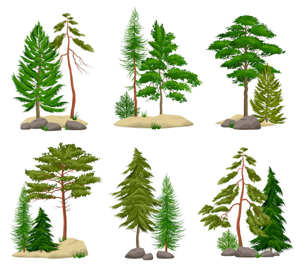 Conjunto de elementos realistas da floresta de pinheiro
 - Vetor, Imagem