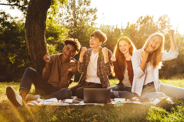 Group of cheerful multhiethnic students doing homework together at the park, using laptop computer, celebrating - 写真・画像