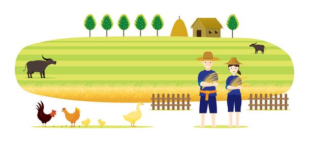 Pirinç ve çeltik alan arka plan, Tayland işgal ve kırsal sahne ile Tay çiftçi - Vektör, Görsel