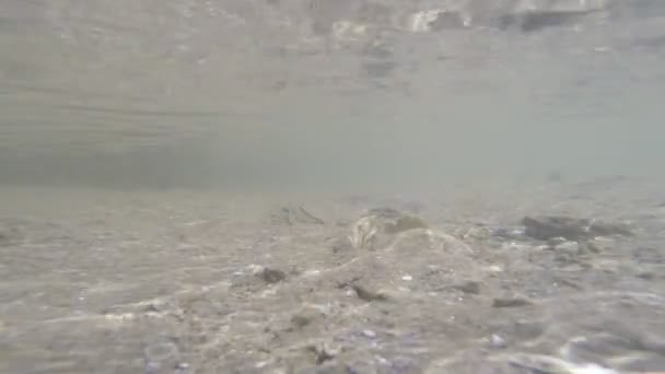 Onderwater weergave van golven in de buurt van het zand met de zon weerspiegelt op de bodem - Video